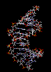 animateddna1
