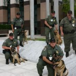court-services-division__courthouse-k-9-team