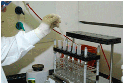 toxicology1