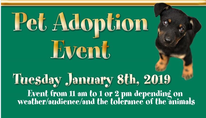 Pet Adoption Event on 1-8-2019