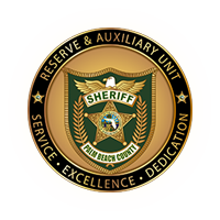 Reserve Auxiliary Deputy Challenge Coin
