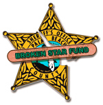 Logo_BrokenStarFund