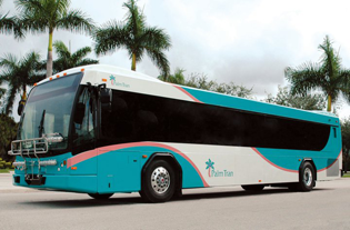 PalmTranBus PalmTranBus