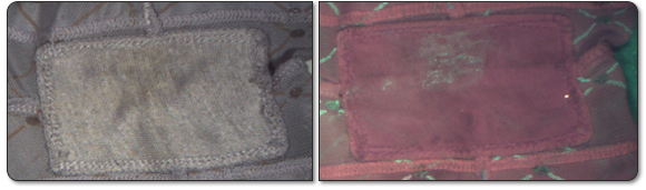 Figure 1: Semen on fabric using ultraviolet light