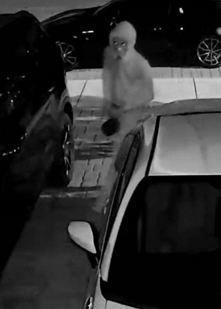 Suspect WANTED for Numerous Car Creeping and Car Burglaries.