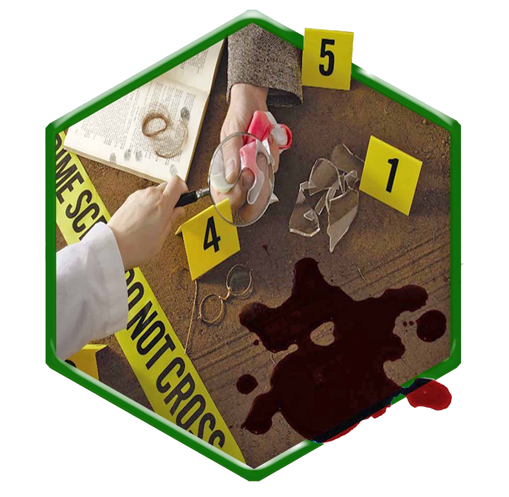 Crime Lab Services - CRIME-SCENE