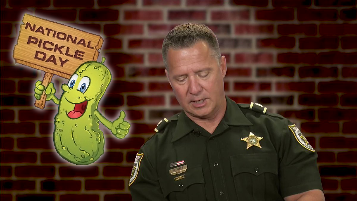 National Pickle Day