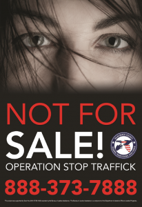Click to open HT Sex Trafficking PDF
