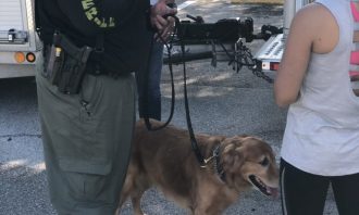 Reserve Auxiliary Deputy K9