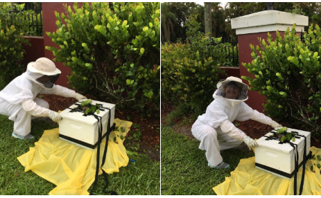 PBSO Employee Goes Above and BEE-yond