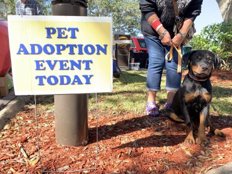 Pet Adoption Event Today 12-3-2019