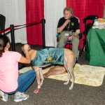 PBSO Volunteers at the South Florida Fair