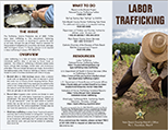 Click to open Labor Trafficking Brochure