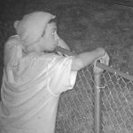 Suspects WANTED for Burglary and Grand Theft to a Mango Grove in 2000 Block of Hypoluxo Road, LW