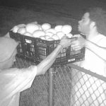 Suspects WANTED for Burglary and Grand Theft to a Mango Grove in 2000 Block of Hypoluxo Road, LW