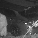 Suspects WANTED for Burglary and Grand Theft to a Mango Grove in 2000 Block of Hypoluxo Road, LW