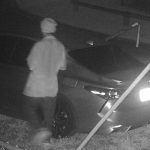 Suspects WANTED for Burglary and Grand Theft to a Mango Grove in 2000 Block of Hypoluxo Road, LW