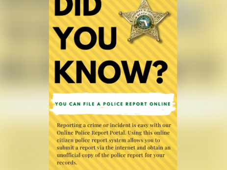 File Police Reports and Request Copies