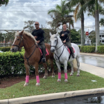 2nd Annual Pinkball Car Rally held in Boca Raton