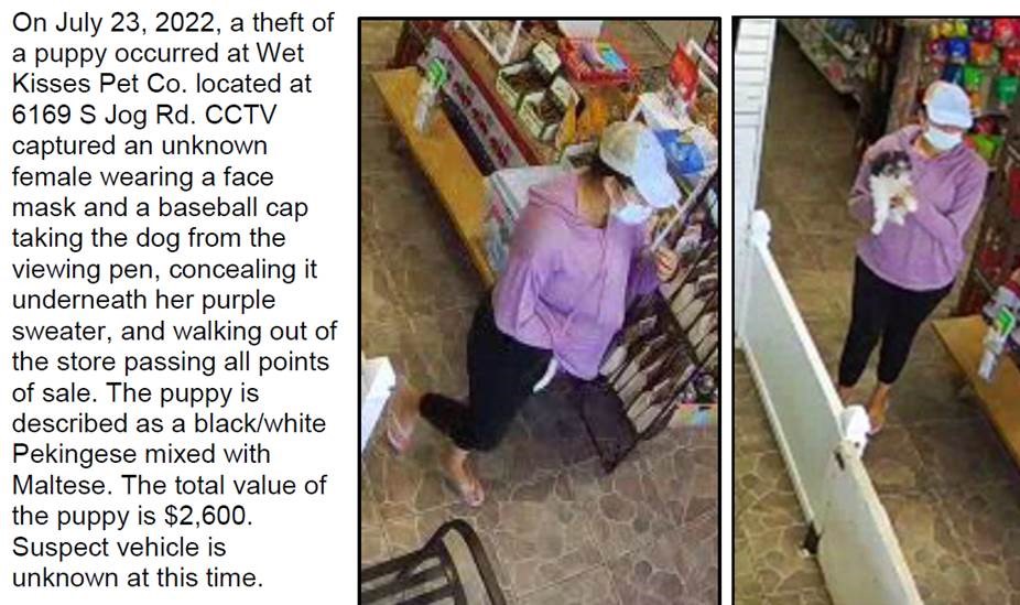 Theft occurred on July 23, 2022 at the Wet Kisses Pet Co. on S. Jog Road