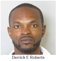 Sexual Predator - Derrick E Roberts