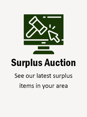 Surplus Auction