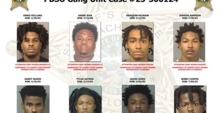 This investigation led to the arrest of (8) individuals