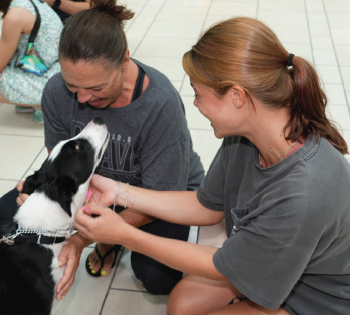 Therapy Dog Unit