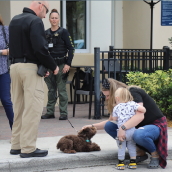 Therapy Dog Unit