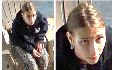 Seeking to Identify a Person of Interest in Attempted Burglary(s) in the City of Lake Worth Beach