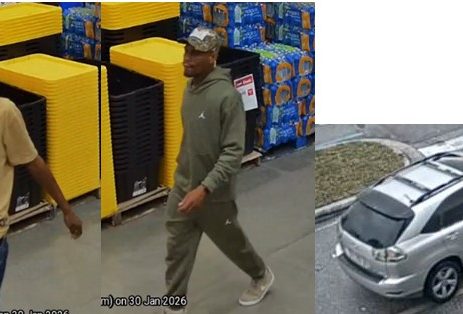 The suspects removed multiple chainsaws from the store and fled the area in an older-model Lexus SUV.