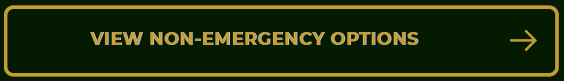 View Non-Emergency Options