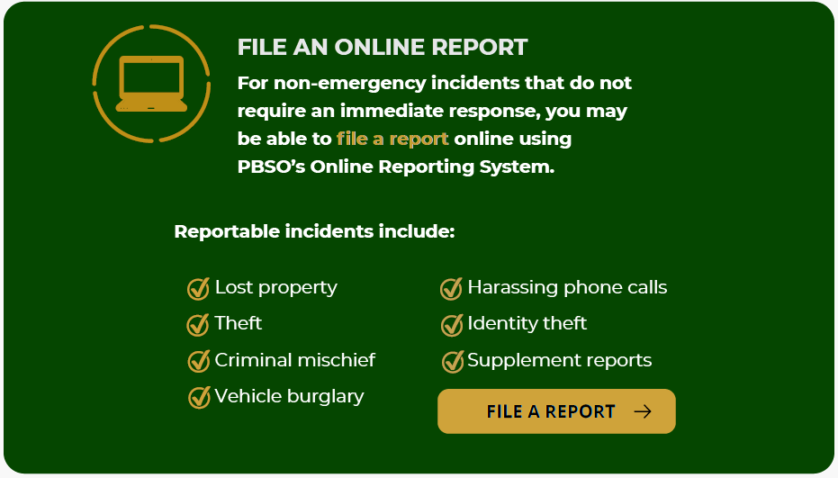 CommoEducation-FileOnlineReport File a Report Online.